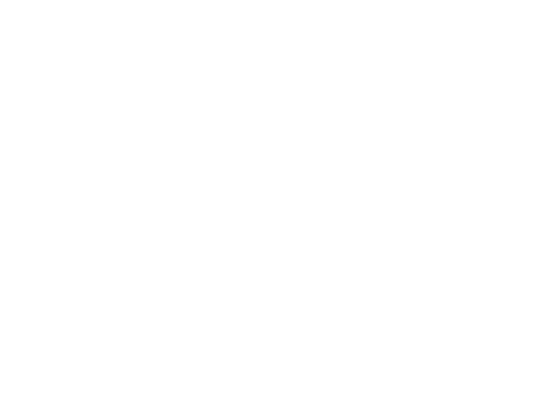  • Fidélisaiton